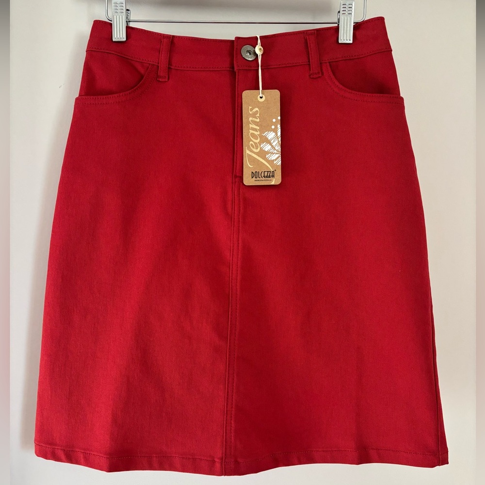 Dolcezza Burnt Orange A-Line Skirt